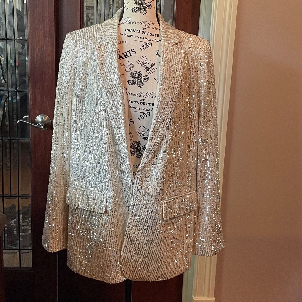 Ann Taylor Loft Sequin Blazer - Size 12